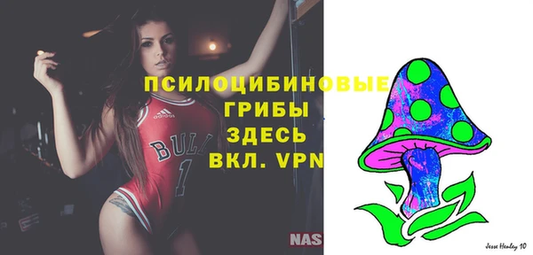 мескалин Алексин