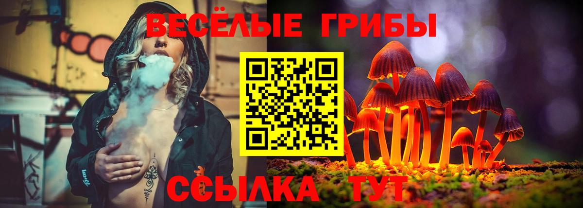 Псилоцибиновые грибы GOLDEN TEACHER Лысьва